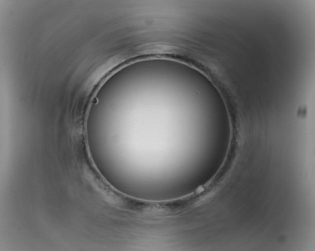 X0000113621073200909251201