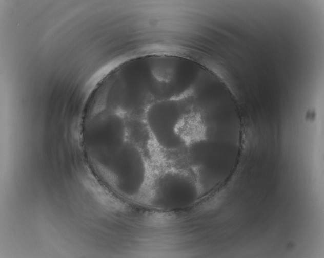 X0000113621074200909251201