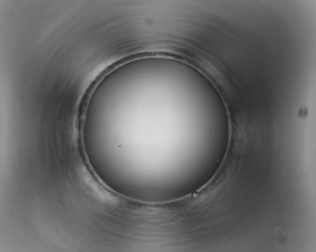 X0000113621076200909251201