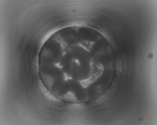 X0000113621078200909251201