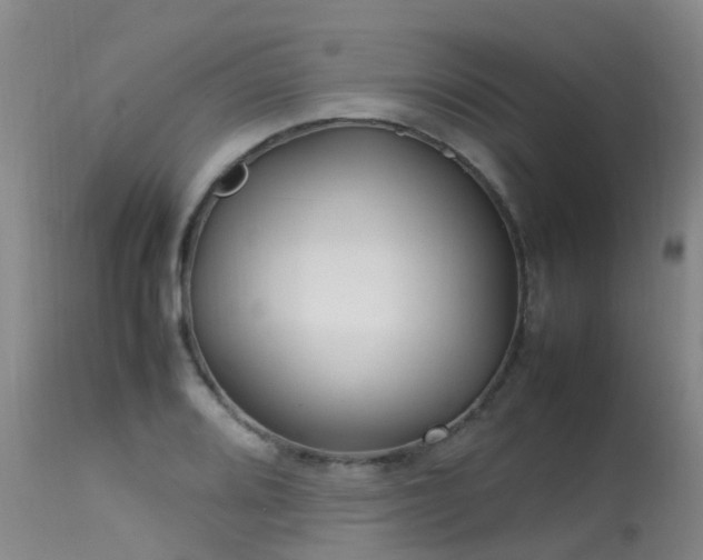 X0000113621080200909251201