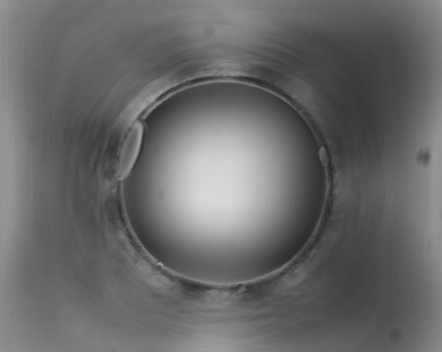 X0000113621081200909251201