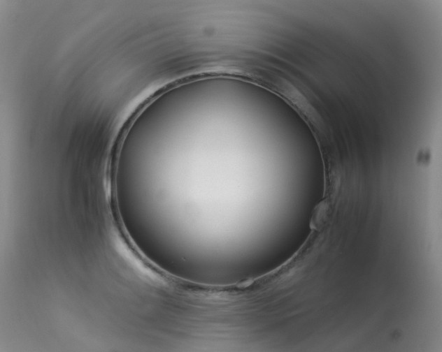 X0000113621084200909251200