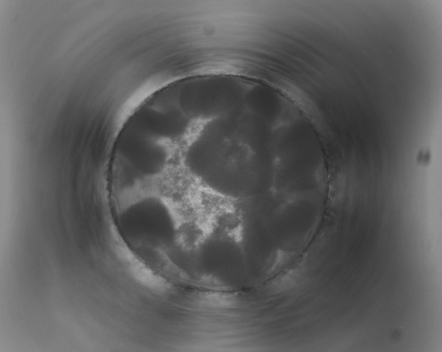 X0000113621086200909251200