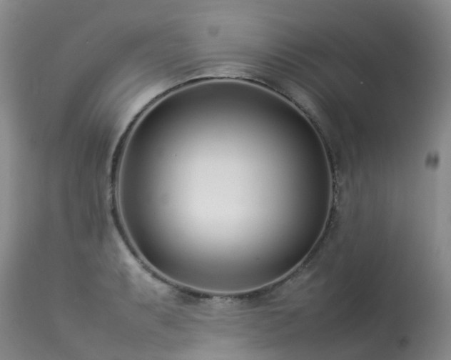 X0000113621087200909251200