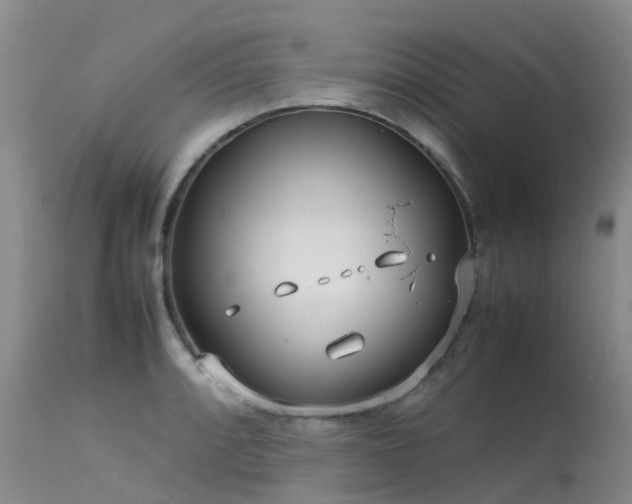 X0000113621088200909251200