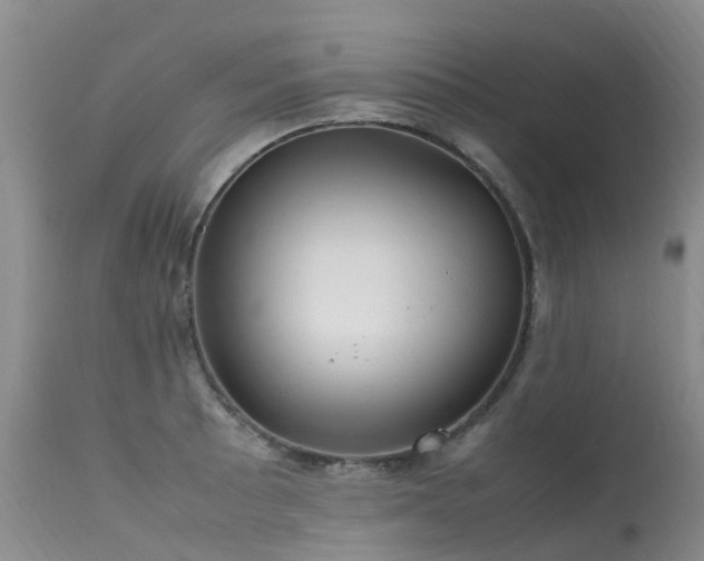 X0000113621089200909251200