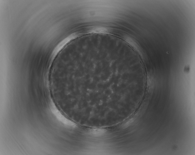 X0000113621090200909251200