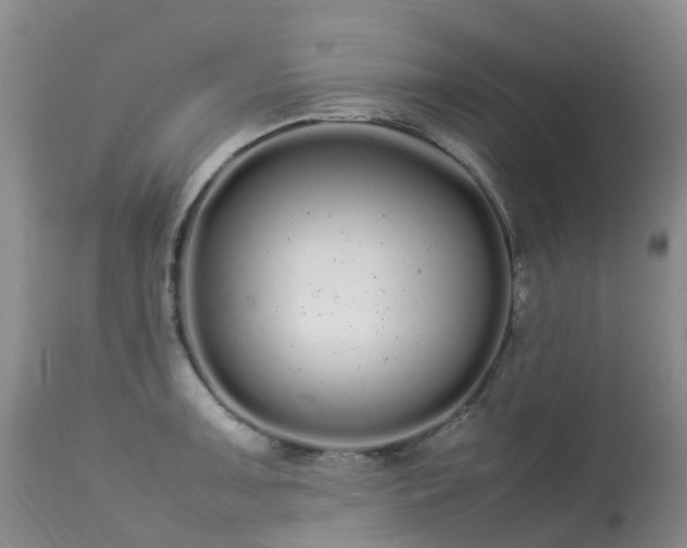 X0000113621091200909251200