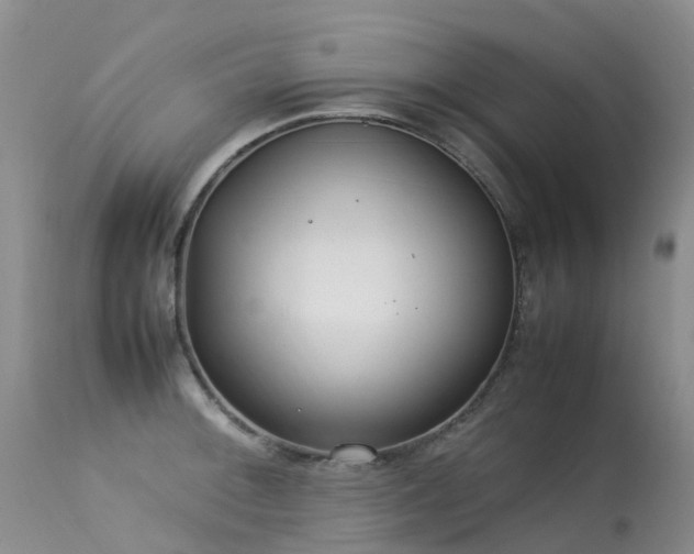 X0000113621092200909251200