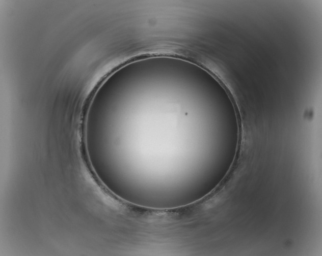 X0000113621093200909251200