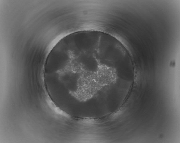 X0000113621094200909251200