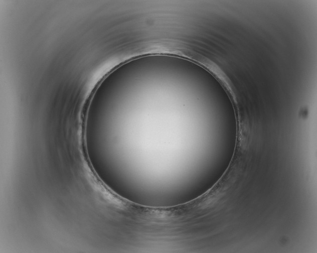 X0000113621096200909251200