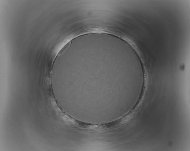 X0000113621097200909251200