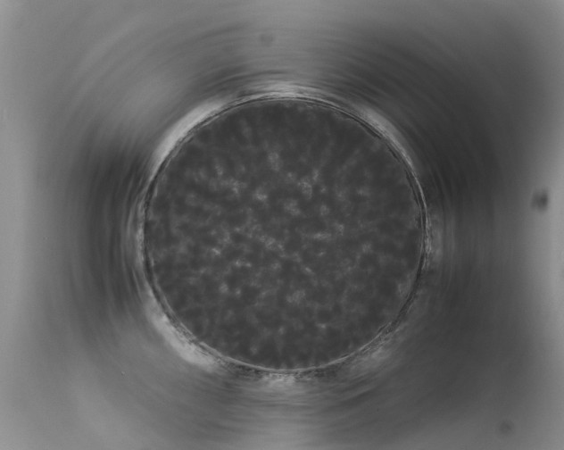 X0000113621098200909251200