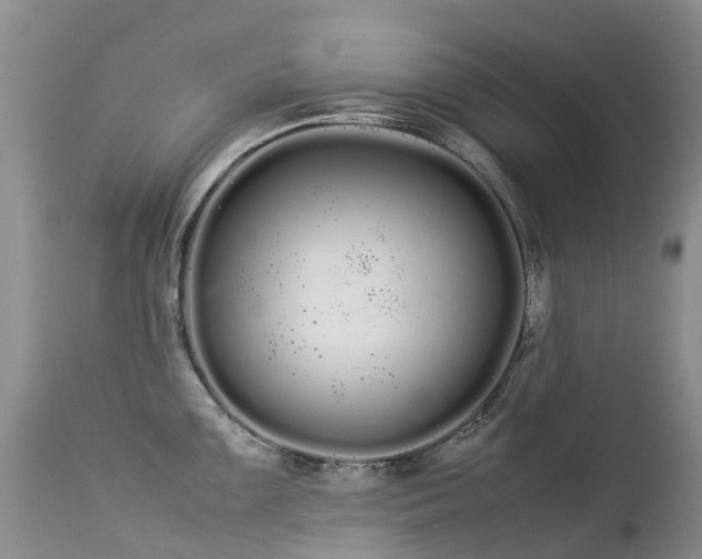 X0000113621099200909251200