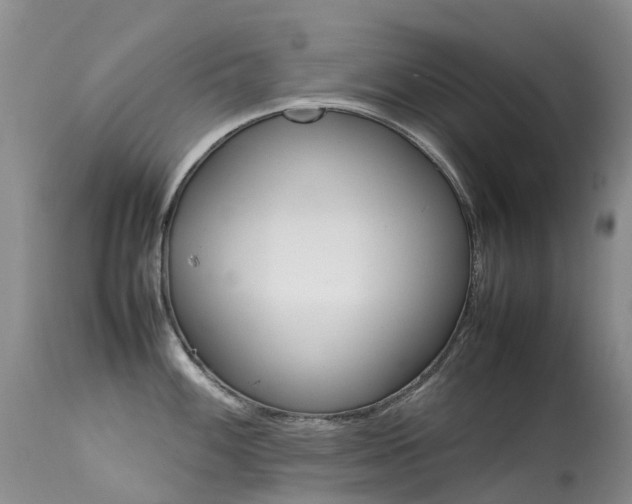 X0000113621100200909251200