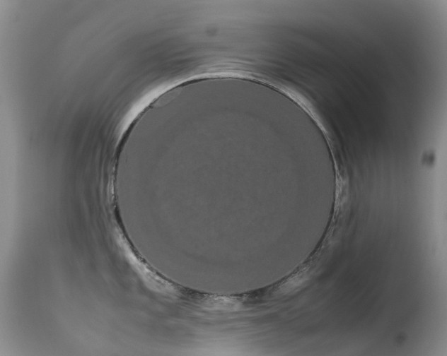 X0000113621101200909251200