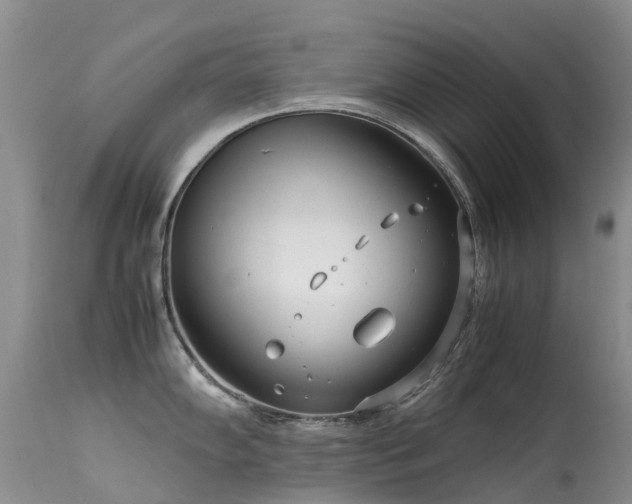 X0000113621102200909251200