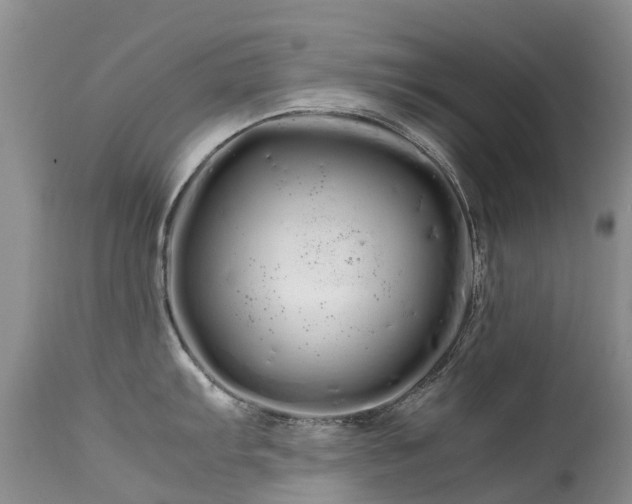 X0000113621103200909251200