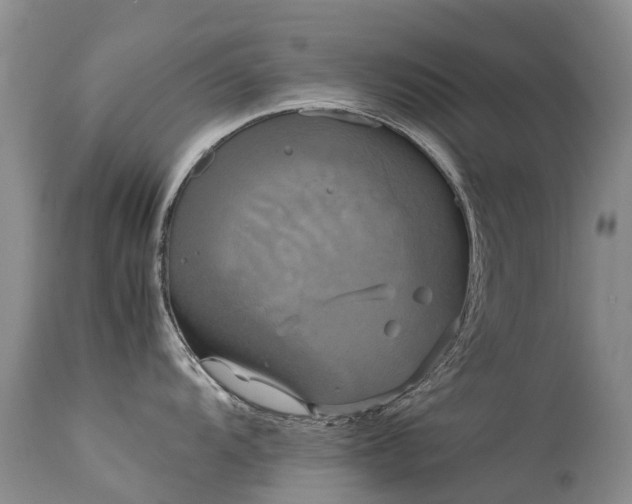 X0000113621104200909251200