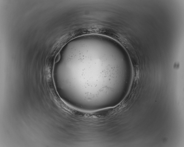 X0000113621106200909251200