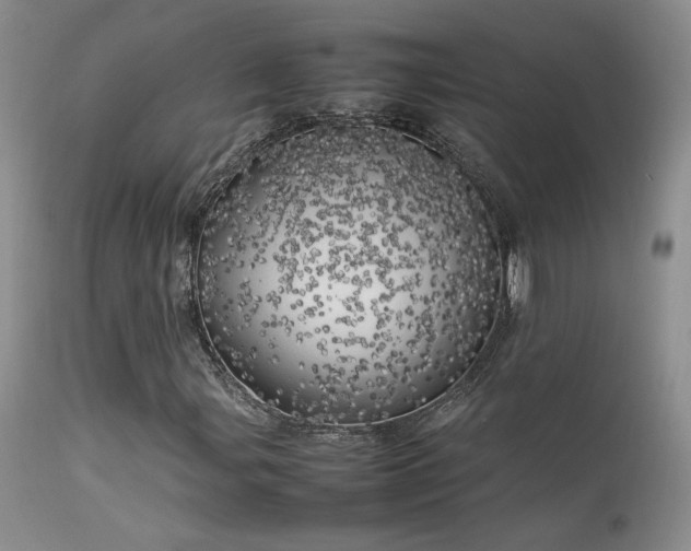 X0000113621107200909251200