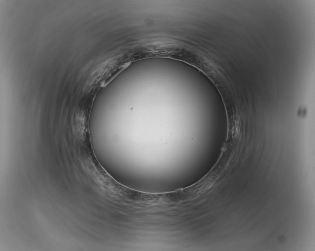 X0000113621108200909251200