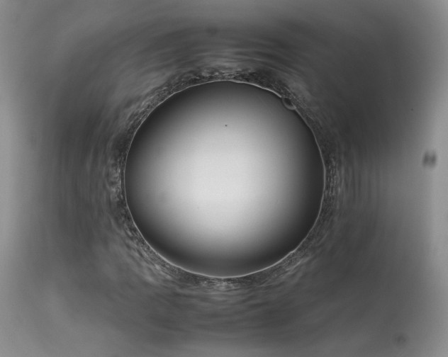 X0000113621109200909251200