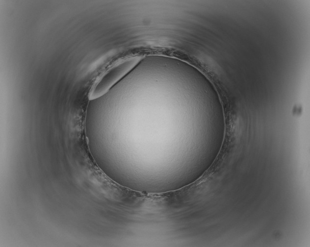 X0000113621110200909251200