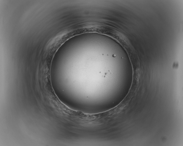 X0000113621111200909251200