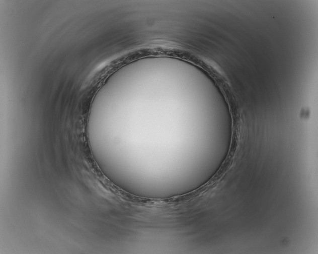 X0000113621112200909251200