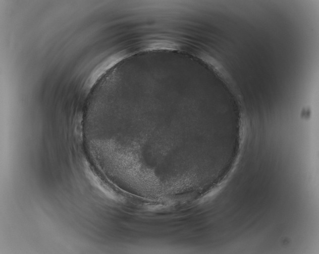 X0000113621113200909251200