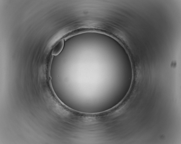 X0000113621114200909251200