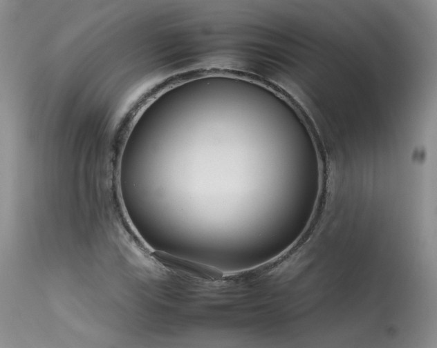 X0000113621115200909251200