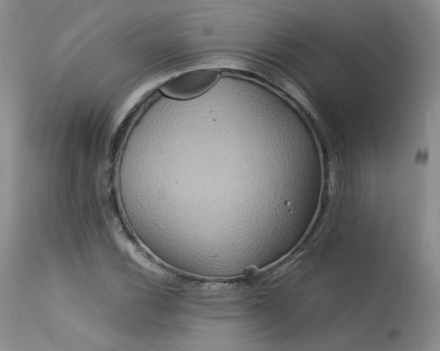 X0000113621116200909251200