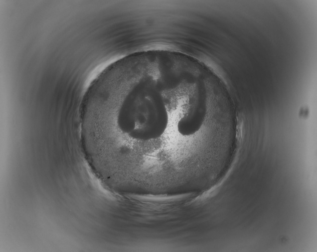 X0000113621117200909251200