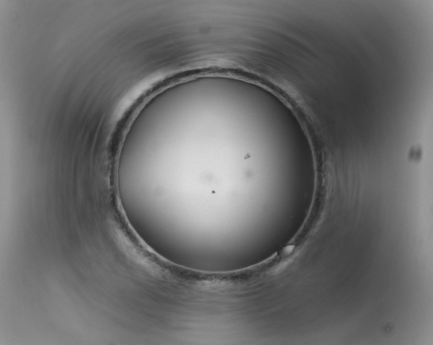 X0000113621118200909251200