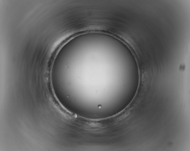 X0000113621119200909251200