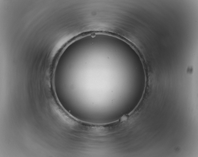 X0000113621120200909251200