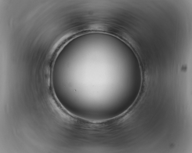 X0000113621123200909251200