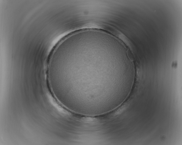 X0000113621124200909251200