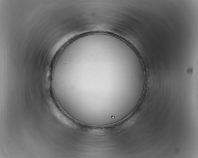 X0000113621126200909251200