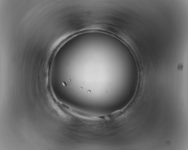 X0000113621127200909251200