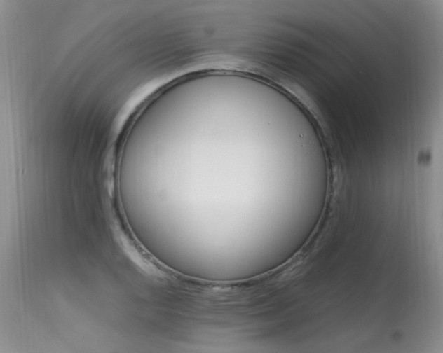 X0000113621128200909251200