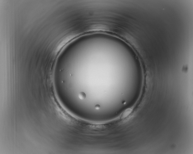 X0000113621129200909251200