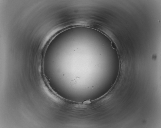 X0000113621131200909251200