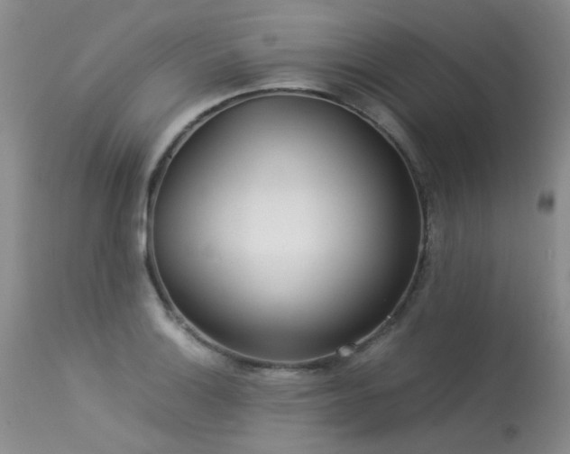 X0000113621132200909251200