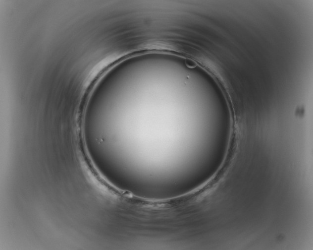 X0000113621133200909251200