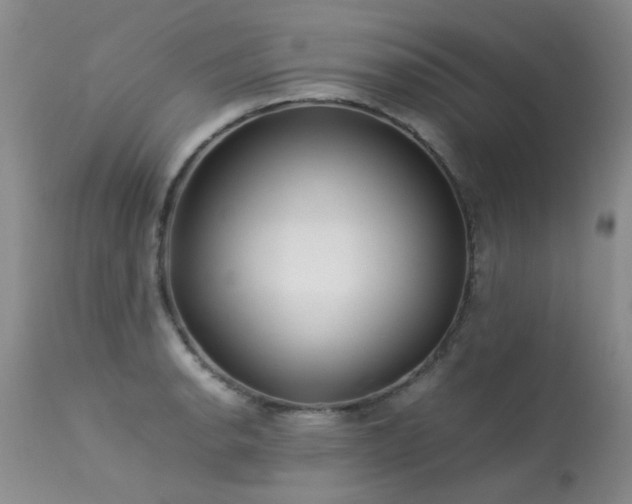 X0000113621134200909251200